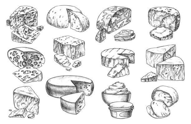 Sketch icons of cheese sorts, whole and slices Cheese sketch whole and slices sorts, vector isolated pencil hand drawn icons. Gourmet dairy milk food products, cottage cheese cream, cheddar, Gouda and Parmesan or Camembert and maasdam with holes cheese drawings stock illustrations