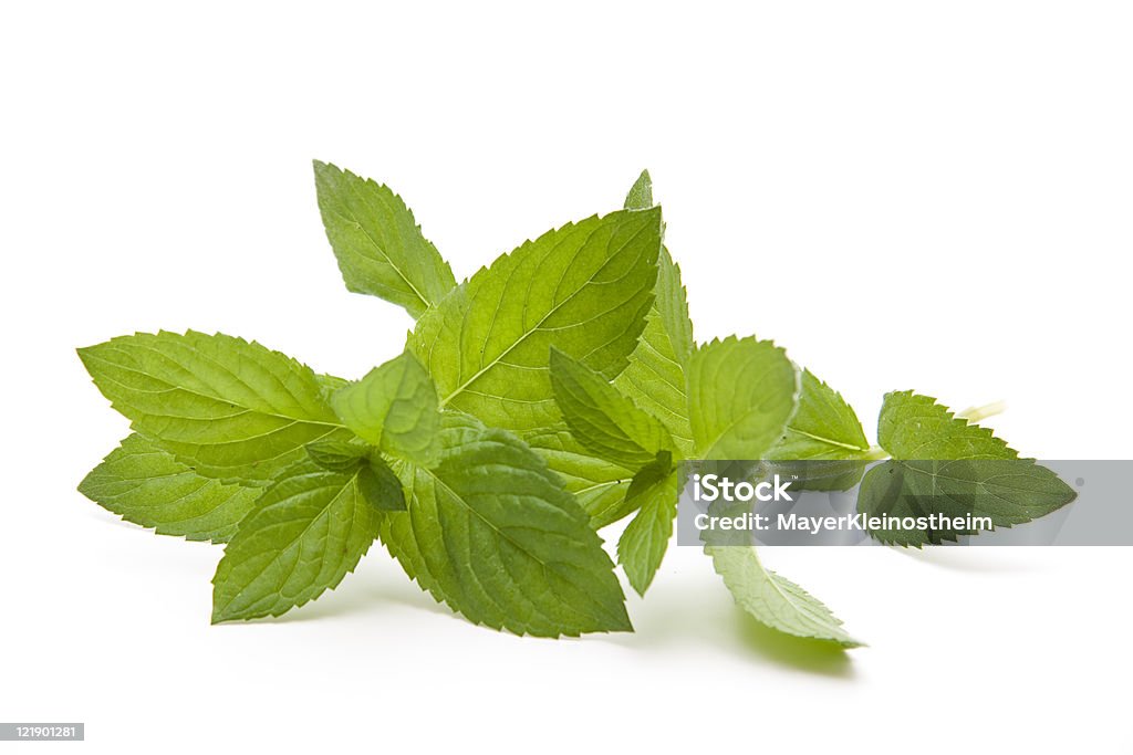 Mint leaves - Стоковые фото Без людей роялти-фри