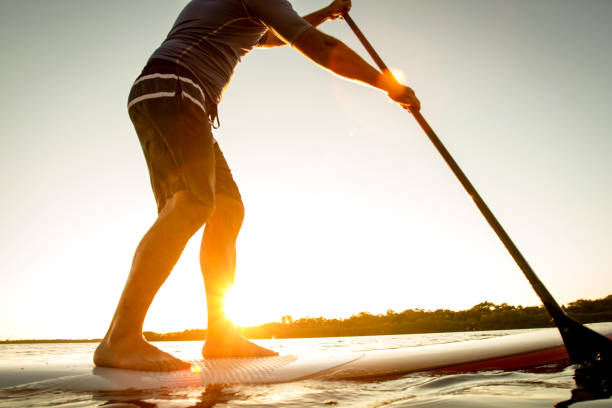 istock Detail of a paddle-boarder in Florida 1219013580