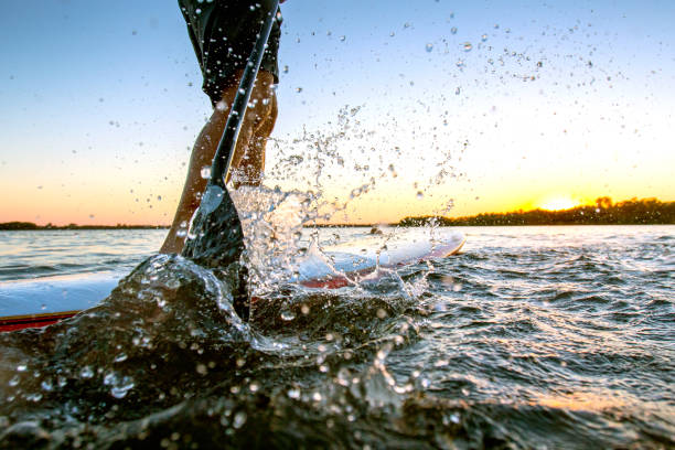 Detail of a stand up paddle board. Stand up paddler at sunset, paddle board sport. A tourist practicing a water sport during his vacations. The image is a detail of the paddle entering the water.