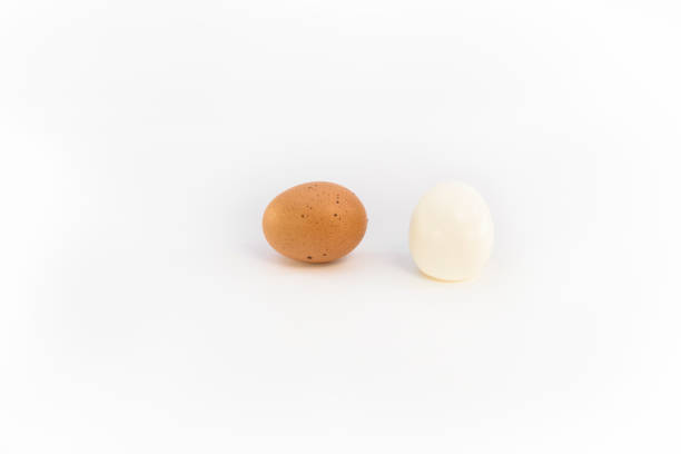 istock a brown chicken egg and an eggs boiled and peeled 1219013726