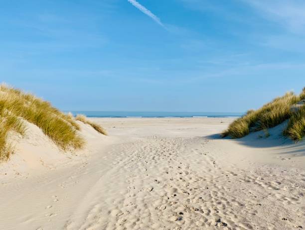 istock The last mile to the beach 1219017427