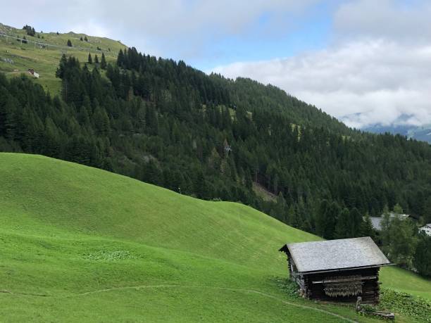 istock A Remote Cabin in The Swiss Alps 1219017544