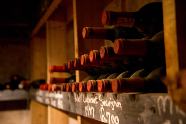 stored vintage bottles in winery cellar - dust old cabernet sauvignon grape aging process imagens e fotografias de stock