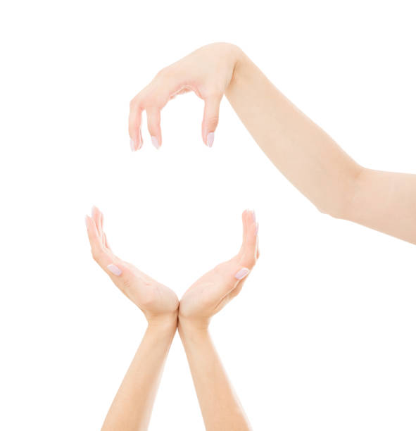 istock hand is putting something on the other hand on white background 1219021106