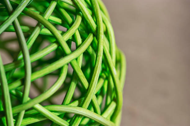Wicker balls from their thin twigs of grapes close-up. Photo in natural light. Materials for creativity and needlework.