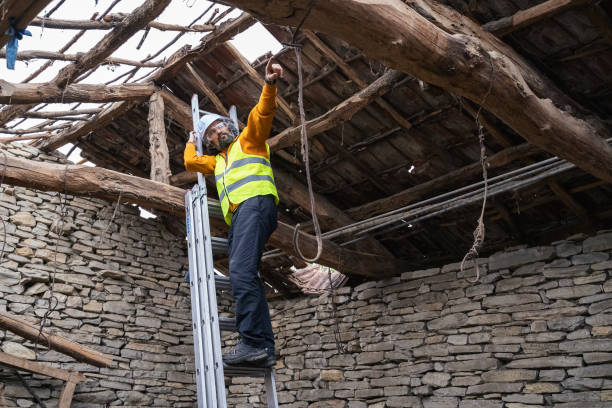 riparare il tetto del fienile. anziano attivo che lavora nel suo cortile sul retro mentre rimane a casa. - home addition roof tile building activity wood foto e immagini stock