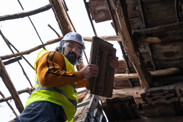 riparare il tetto del fienile. anziano attivo che lavora nel suo cortile sul retro mentre rimane a casa. - home addition roof tile building activity wood foto e immagini stock