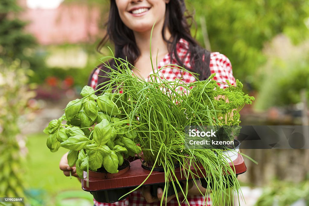 Jardinagem no verão-Mulher com ervas - Foto de stock de Jardim de Ervas royalty-free