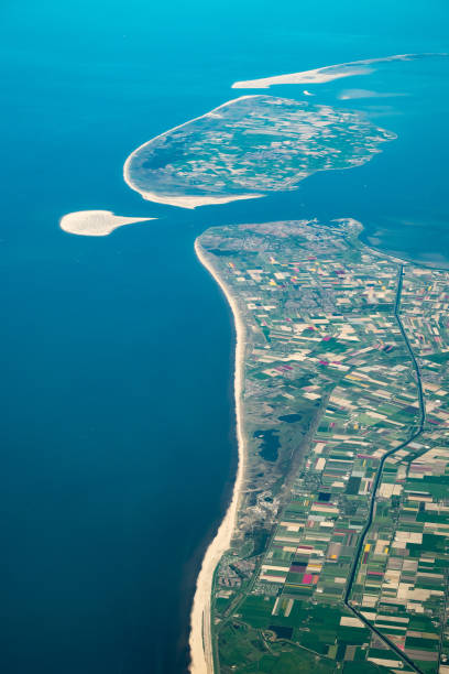 istock Tulip Season in Holland 1219029822