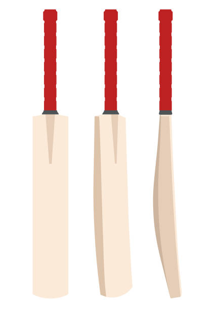 Cricket Bat A vector illustration of a generic wooden cricket bat at various angles on an isolated white background cricket bat stock illustrations