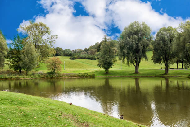 istock Green lawn and trees at a pond with ducks. 1219031189