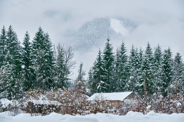 istock Winter mountain warehouses landscape with snow 1219032527