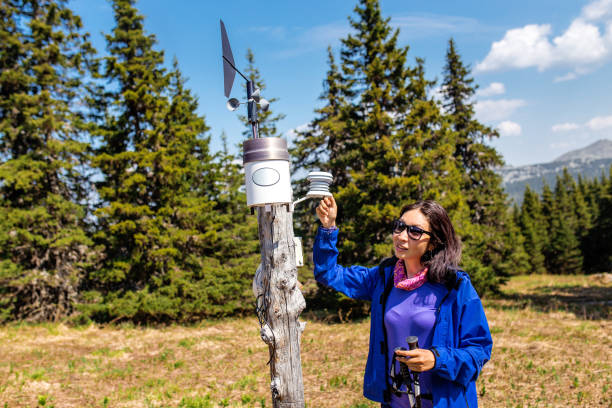 Devices meteorological station in wild forest reserve.