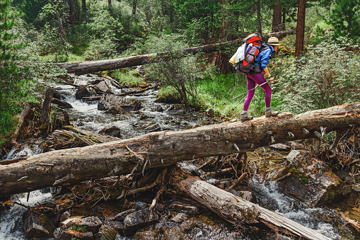 Woman hiker crossing the river in mountains using a big tree trunk, outdoor adventure concept