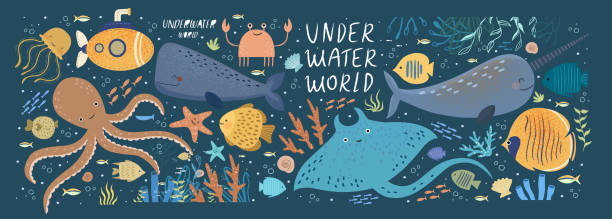 ilustrações de stock, clip art, desenhos animados e ícones de underwater world! vector cute illustration ocean or sea with octopus, whale, narwhal, jellyfish, various fish, water marine animals and plants isolated objects set. drawings for banner, card, postcard - bottom sea