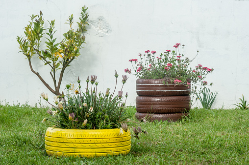 beautiful recycled vases made with old tires. Ideias to have a nice garden with reused materials.