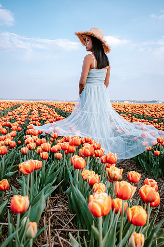 Tulip flower field in the Netherlands, young woman with dress in tulip flower field, girl with dress and hat in flower filed Noordoostpolder Flevoland