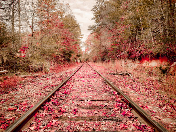 Railroad Track with fallen Autumn Leaves in the Appalachian Mountains