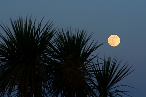 This is a series of shots of the Super Full Moon taken on April 7-8, 2020 from the car park near The Blue Light pub in Barnacullia Townland, south County of Dublin. I found this spot while scouting for a location within a 2km radius from my home in order to comply with COVID-19 regulations in Ireland.
