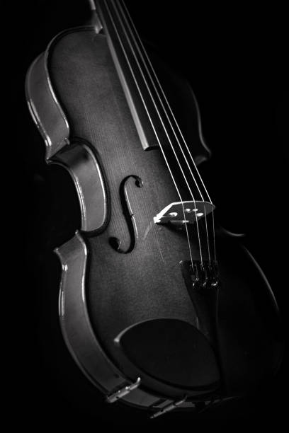istock Old black and white four string violin with dark background 1219038860