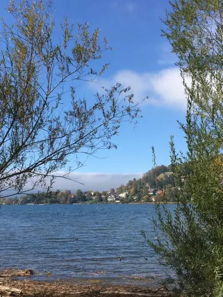 View of the point from the Schwaighof, with trees, Tegernsee-Süd, Upper Bavaria