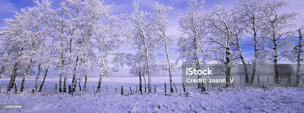 Winter malerischen Panoramablick - Lizenzfrei Landschaft Stock-Foto