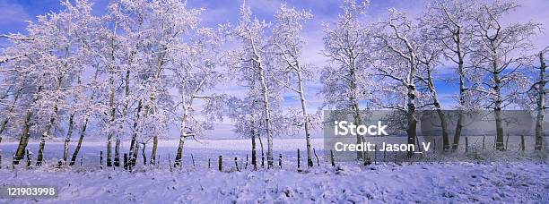 Winter Malerischen Panoramablick Stockfoto und mehr Bilder von Landschaft - Landschaft, Pappel, Schnee