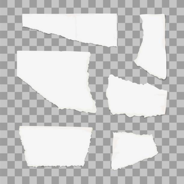 Torn paper piece isolated on transparent background Torn paper piece isolated on transparent background. Vector illustration torn paper transparent background stock illustrations