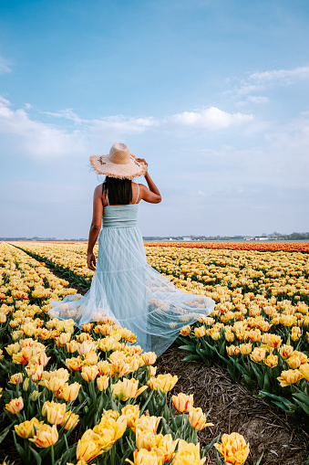 Tulip flower field in the Netherlands, young woman with dress in tulip flower field, girl with dress and hat in flower filed Noordoostpolder Flevoland