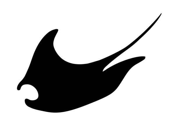 schwarze silhouette manta ray unterwasser riesentier mit flügeln einfachen charakter design flache vektor-illustration isoliert auf weißem hintergrund - manta ray stock-grafiken, -clipart, -cartoons und -symbole