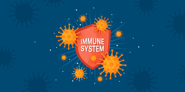 Immune system banner in cartoon style, vector Immunity banner. Immune system concept. Medical horizontal design with shield and bacteria for clinics, hospitals, healthcare websites. Vector illustration in cartoon style. antiviral drug stock illustrations