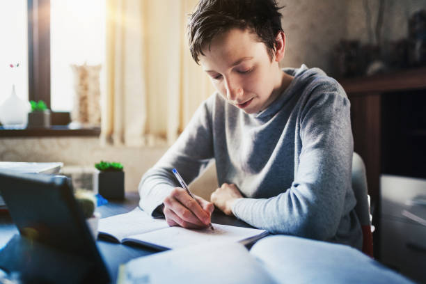 istock Teenager studies at online school class 1219048318