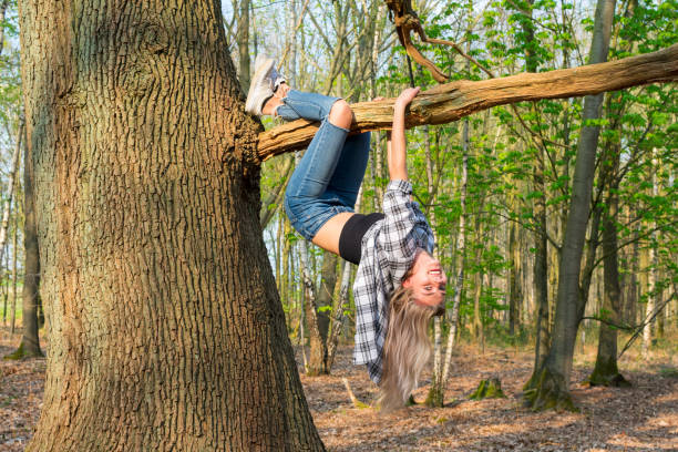 2,500+ Hanging Upside Down Tree Stock Photos, Pictures & Royalty-Free  Images - iStock