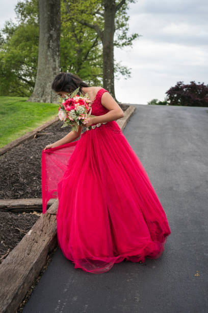 istock Freeing a snagged dress 1219050330