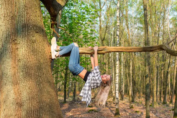 Young woman hangs, laughing out loud, from a thick branch. Location: Germany, North Rhine Westphalia, Hoxfeld