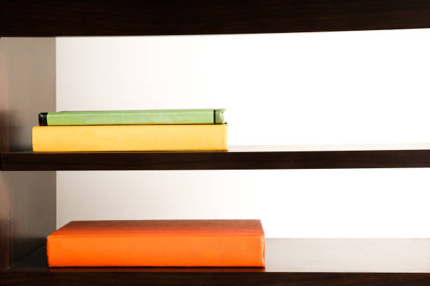 istock Books on the shelves 1219055223