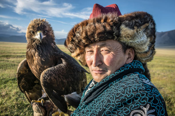 caçador de águias - falconry glove - fotografias e filmes do acervo