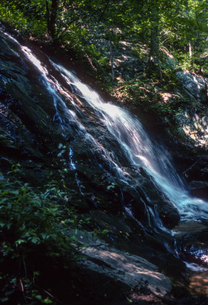 istock Great Smoky Mountains NP - Waterfall - 2003 1219056600