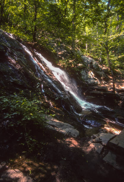 istock Great Smoky Mountains NP - Juneywhank Falls Vertical - 2003 1219057486