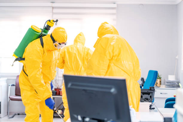 istock Disease control service staff disinfecting office 1219062737
