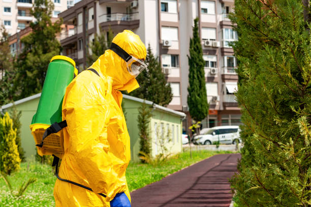 istock Disease control service staff disinfecting public park 1219062816