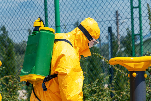 istock Disease control service staff disinfecting public park 1219062854