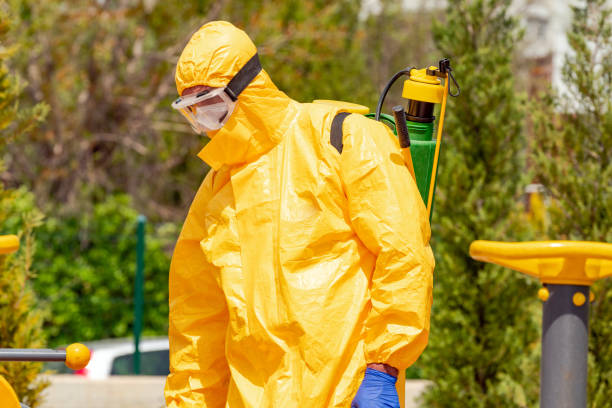 istock Disease control service staff disinfecting public park 1219062913