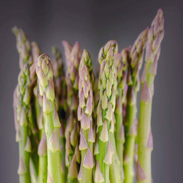 istock Close up view of Asparagus spears. 1219067191