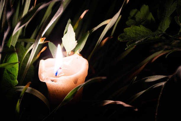 istock Solitary candle burns in summer garden at night 1219073446