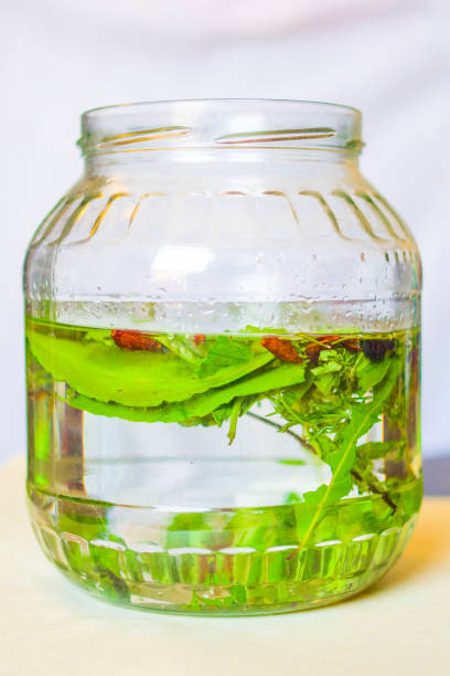 istock artisan produces liqueur with herbs and aromatic spices 1219084381