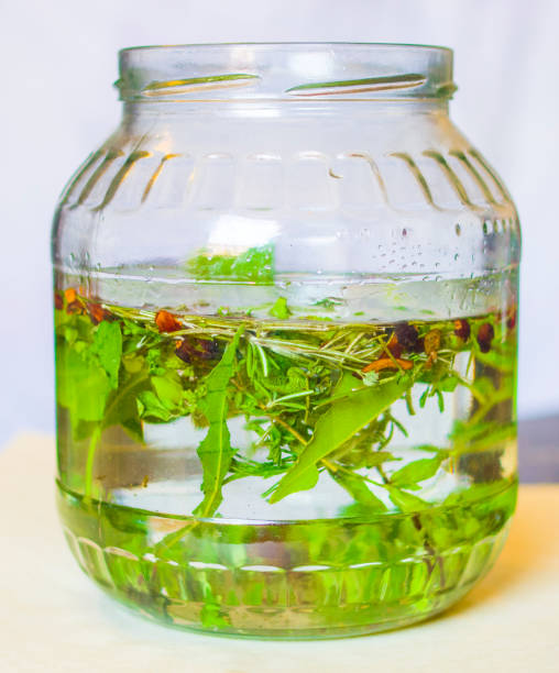 istock artisan produces liqueur with herbs and aromatic spices 1219084384