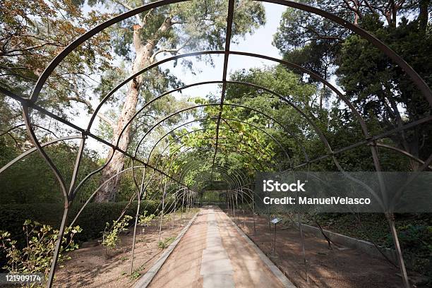 Restaurant Pergola Stockfoto und mehr Bilder von Baum - Baum, Botanischer Garten, Farbbild