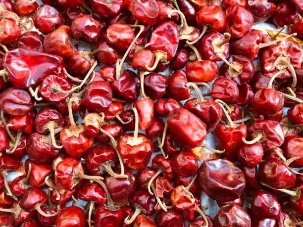 Ripped Habanero's are dried in the sun for household usage